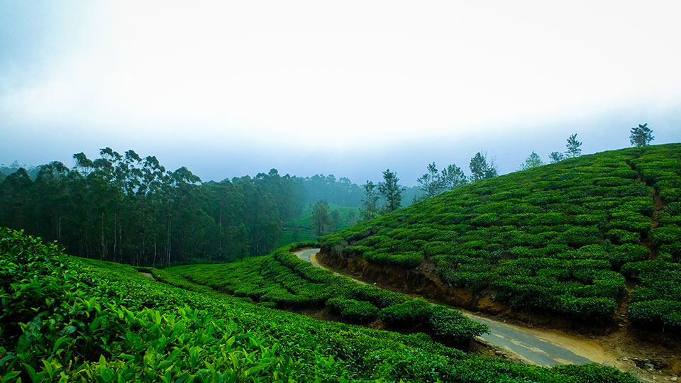 Will Kerala witness a new tourism culture post-Covid?